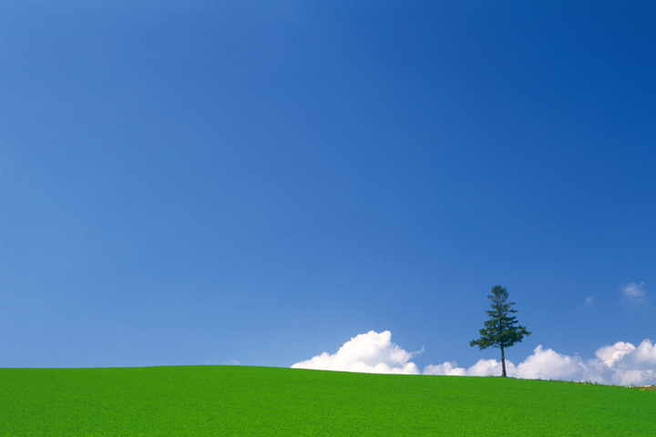 ���i�C���[�W